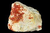Red Vanadinite Crystals on Dolomite - Morocco #155411-1